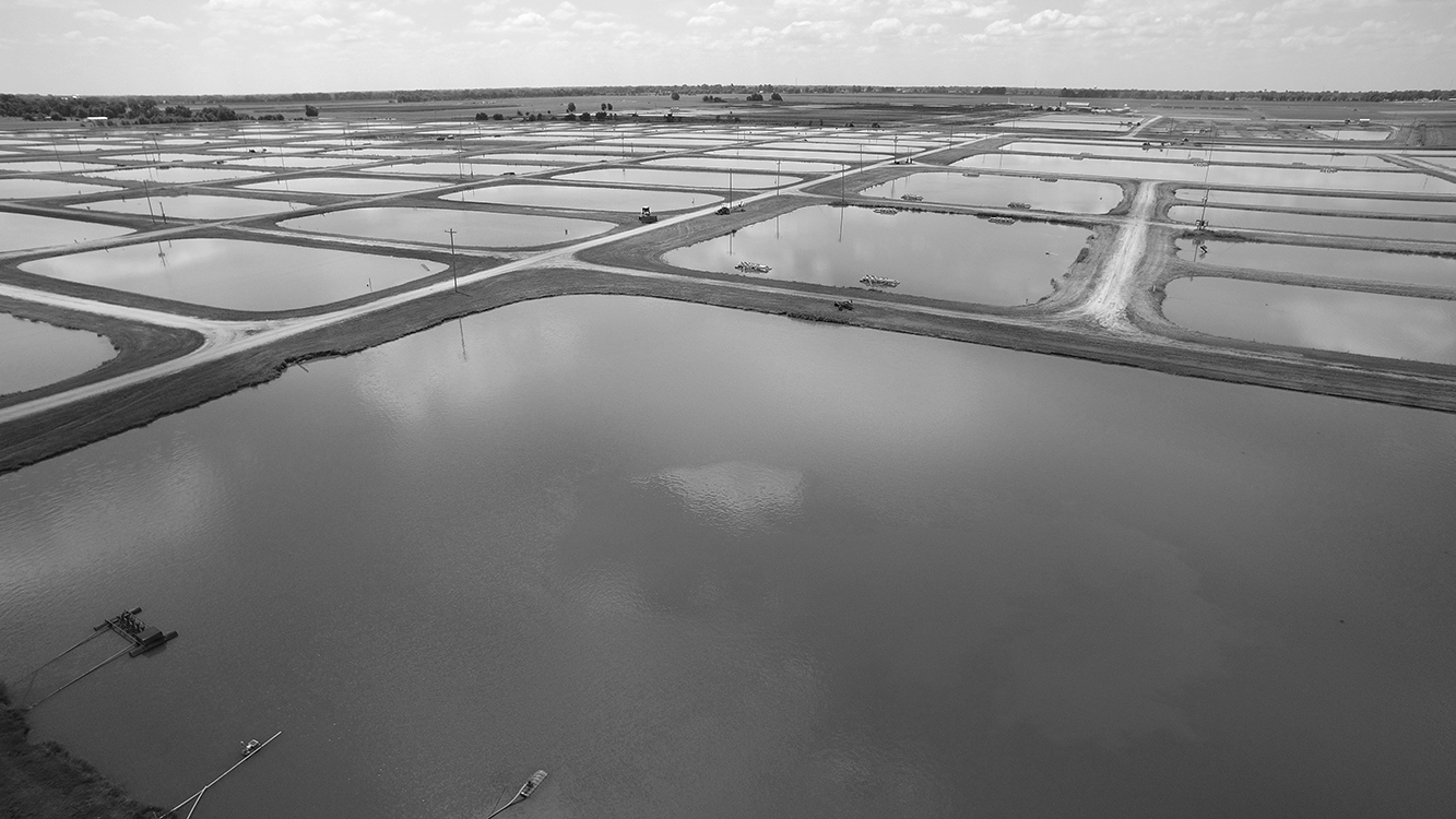 The WNAC includes the research ponds that are comprised of 257 ponds.