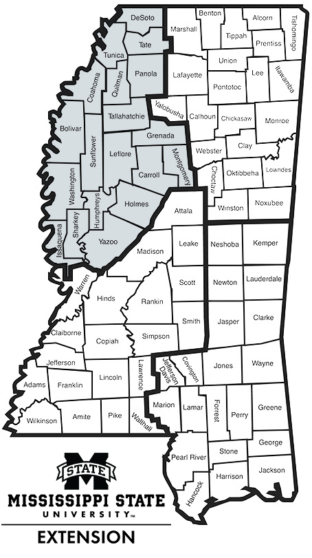 Delta Region Extension Map